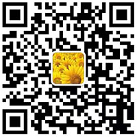 扫一扫 联系国产爆乳无码一区二区麻豆